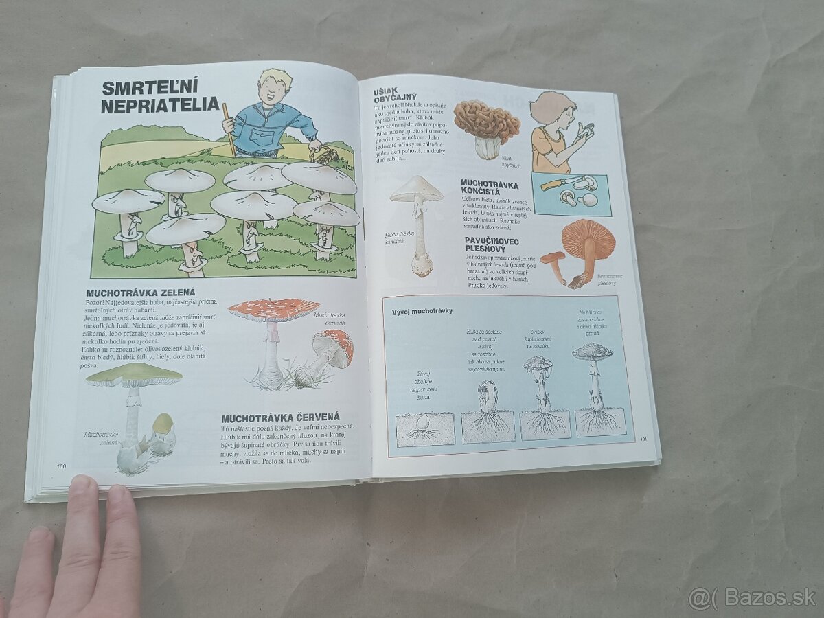 Renée Kayser: Priateľ lesa - 9