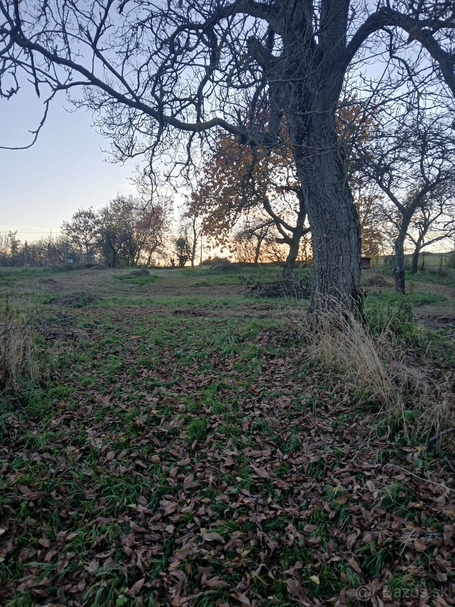 Predaj rodinný dom s veľkým pozemkom a zahradou - 9