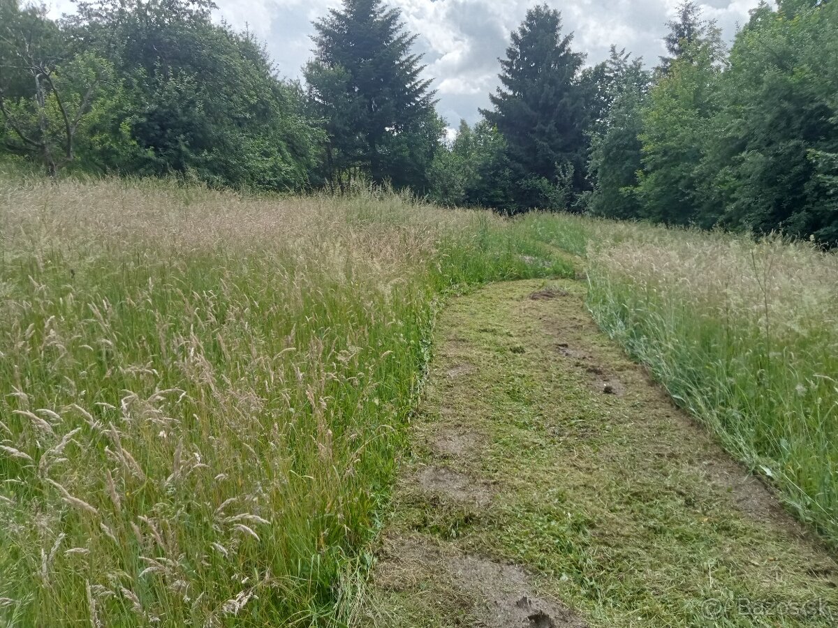 Mulčovanie, Kosenie,Frézovanie pozemkov. - 9