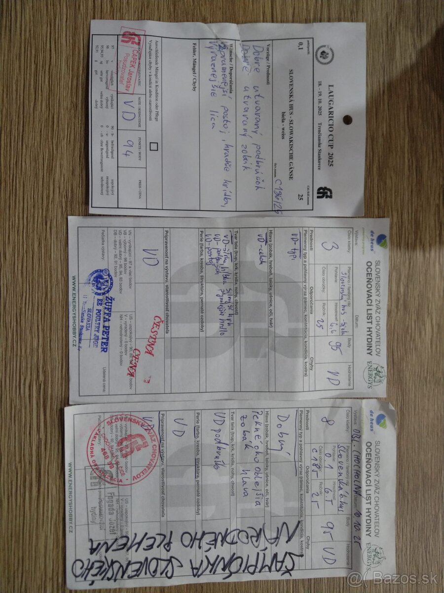 Slovenská biela hus - 9