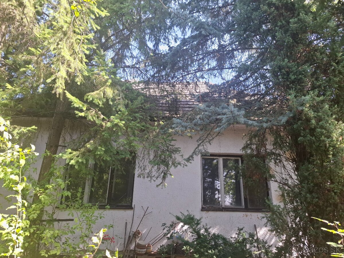 Vianoce pri krbe vo vlastnom dome pri TN - 9