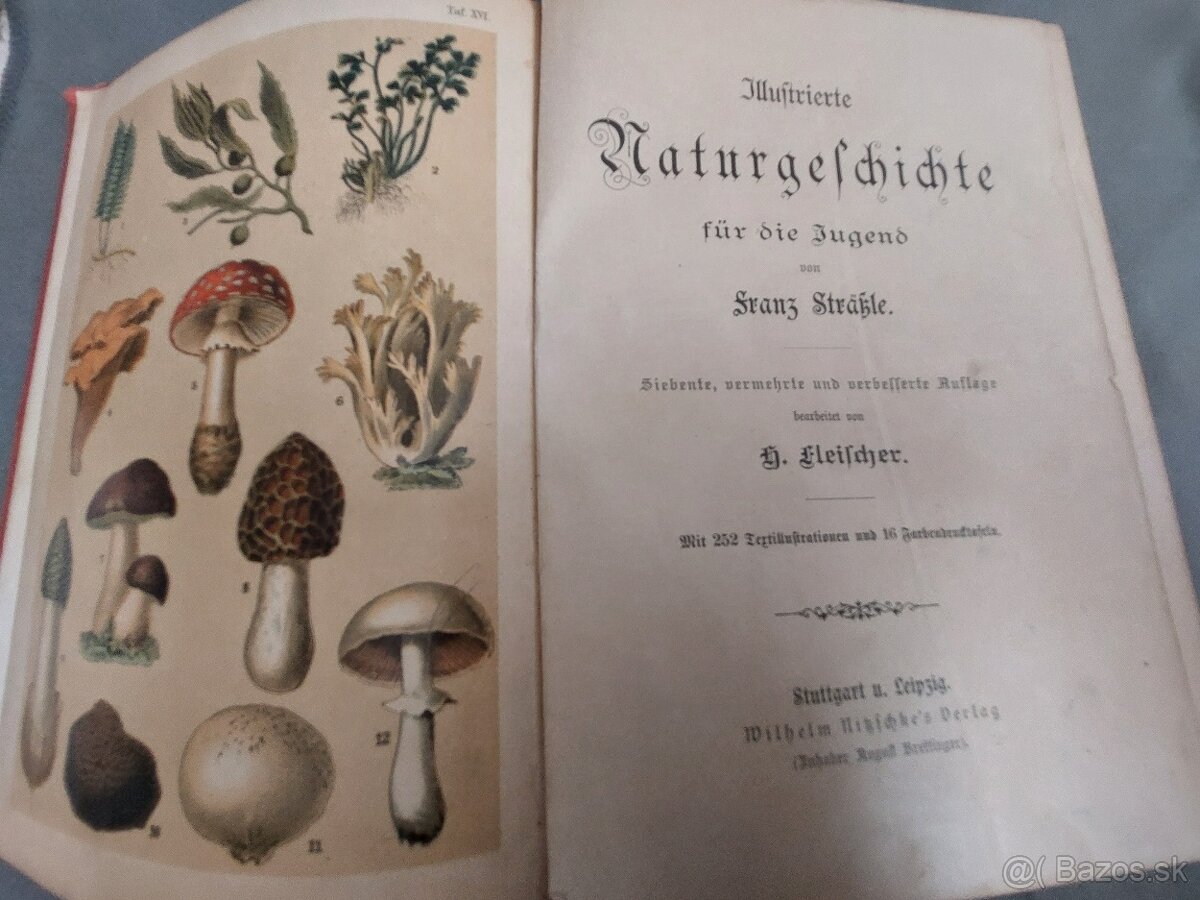 Naturgeshichte 19.storocie - 9