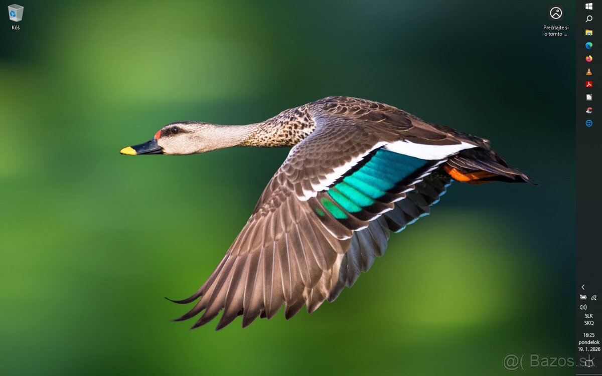 Notebook_DELL_LATITUDE E5410 - 9