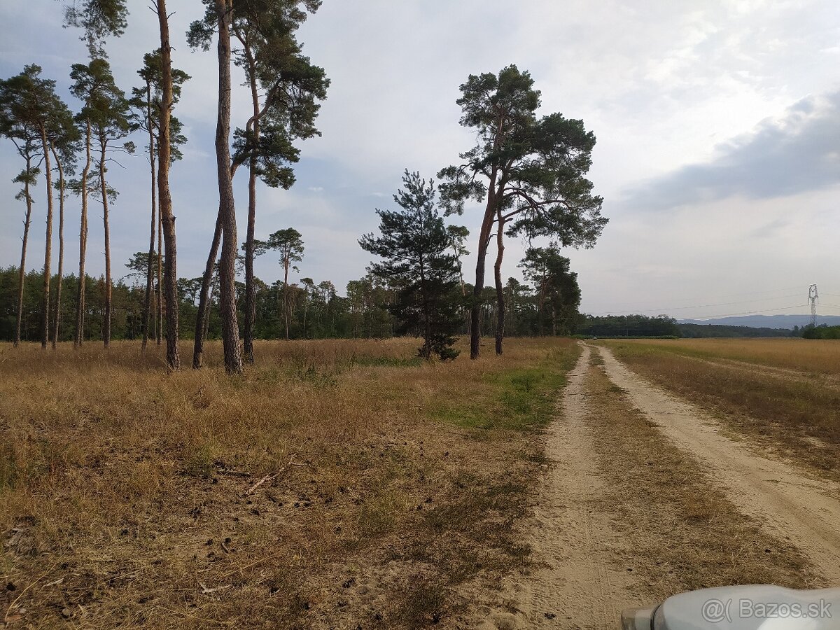 Hľadá sa nový majiteľ jedinečného pozemku v obci Láb. - 9