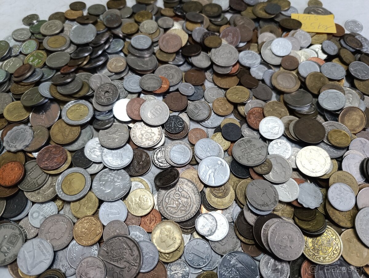 Mince 3.5kg lot5 - 9