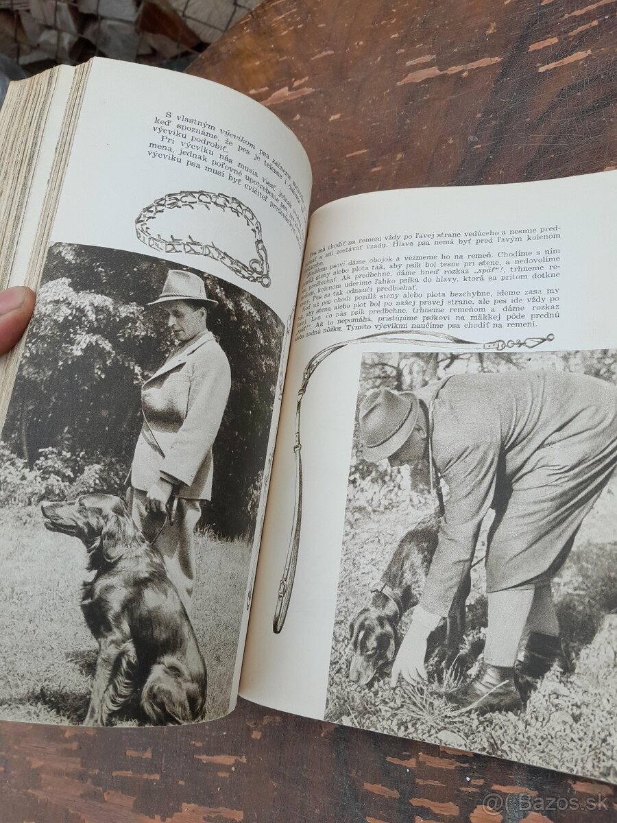 Predám knihu polovníctvo v obrazoch - 9