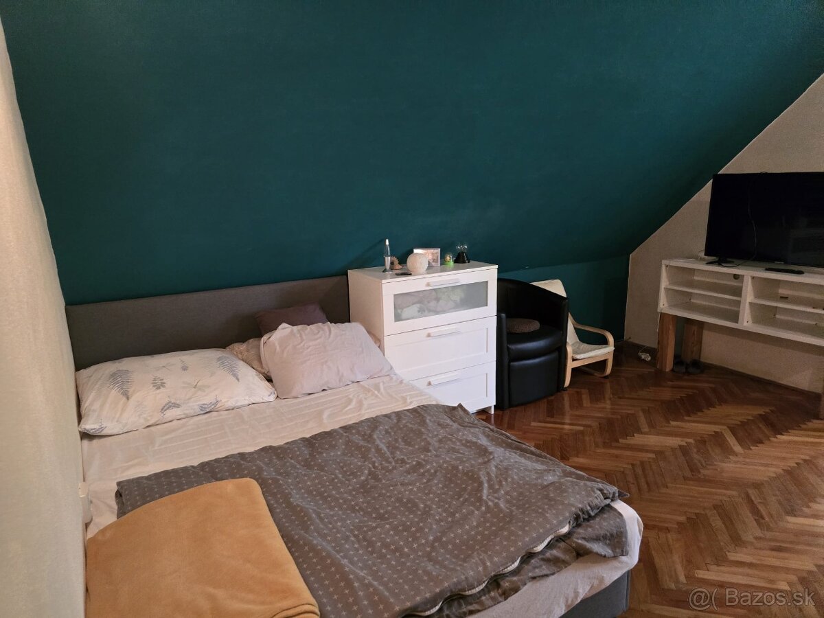 Veľký rodinný Dom-Jur nad Hronom s potenciálom na podnikanie - 9