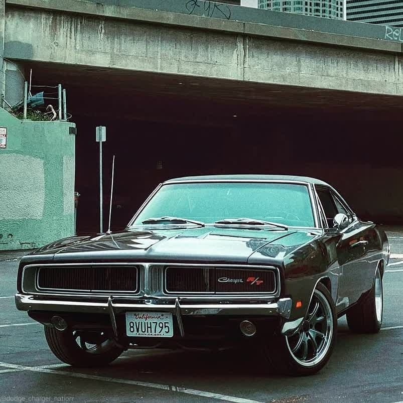 americke spz 50 statov - 9