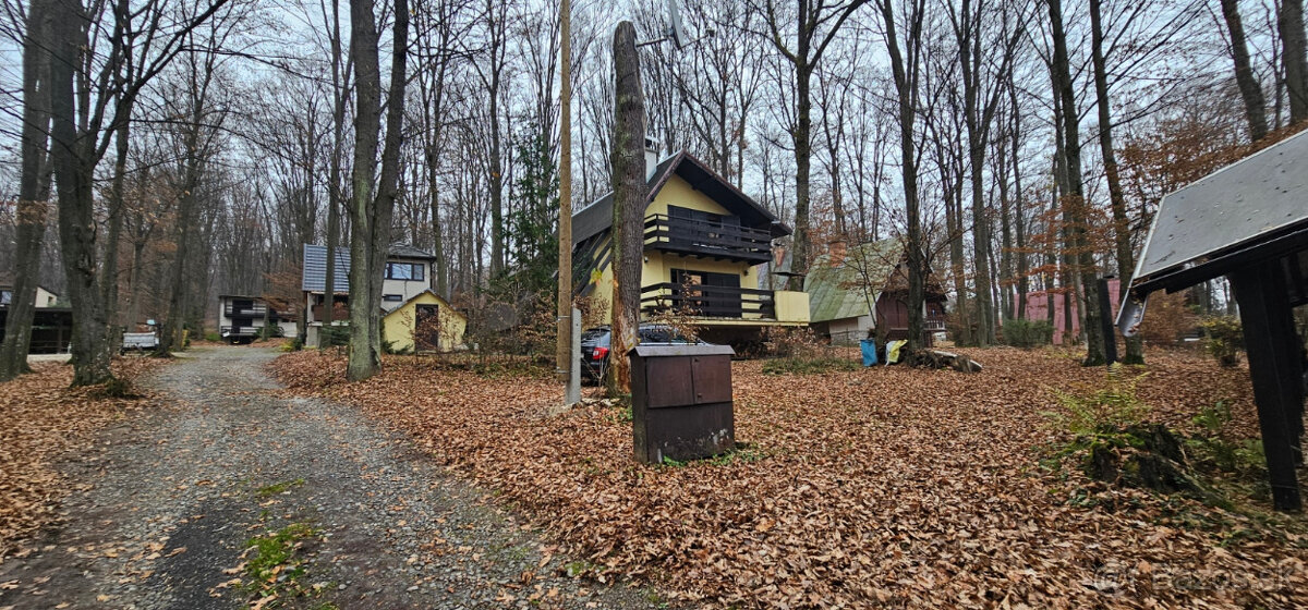 Dom na brehu riečky - 9