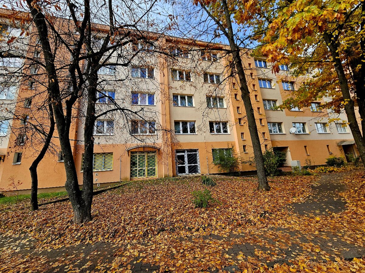 Na prenájom priestory Čapajevova 8, výmera 82 m2 - 9