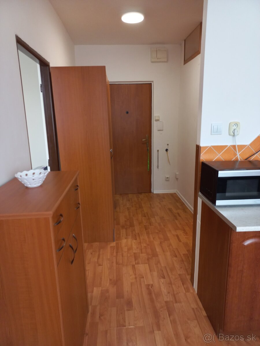 Prenajmem 1 izbový byt v centre KE-Palárikova 3 - 9