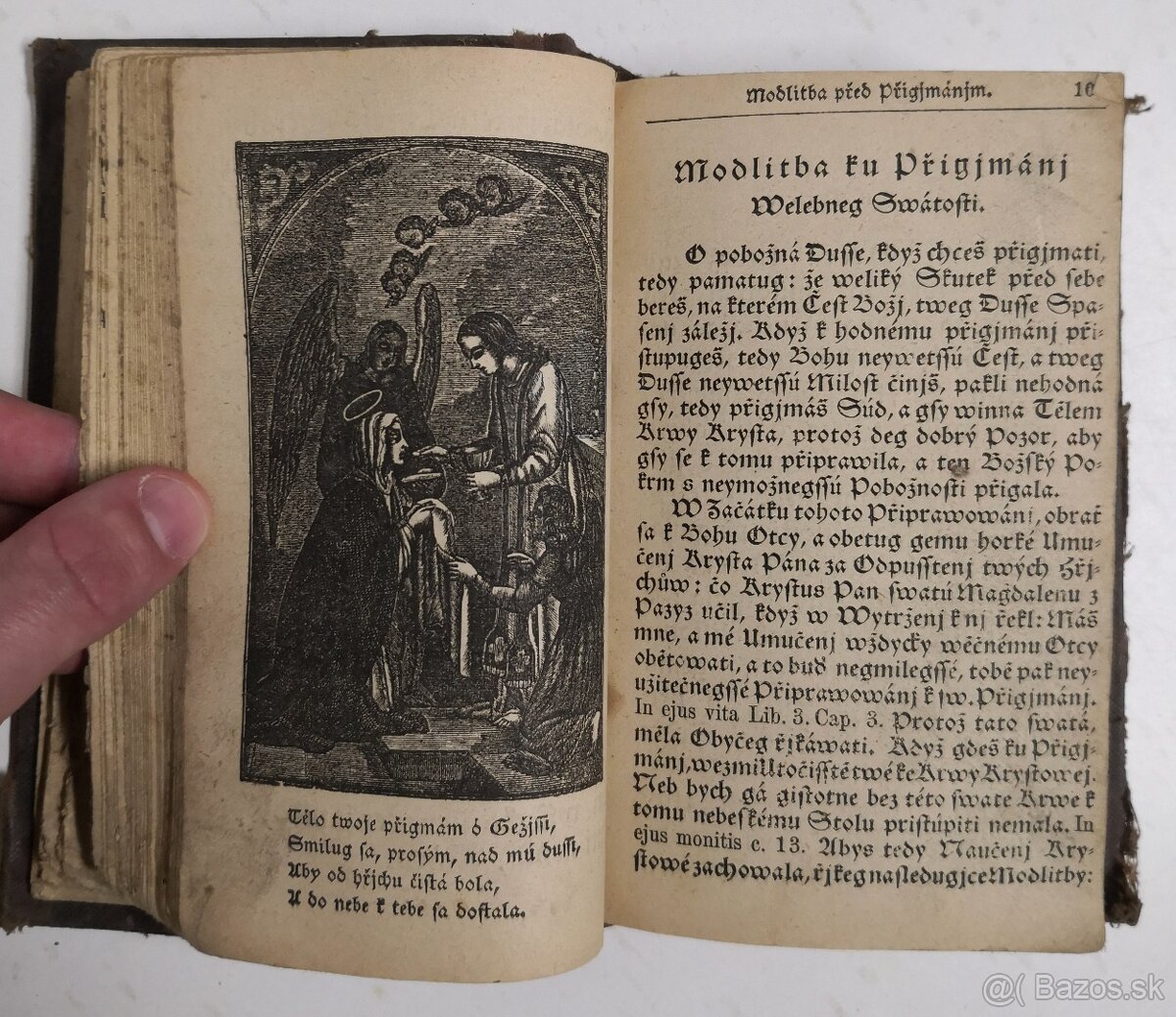 Stepná zahradka 1850 - 9