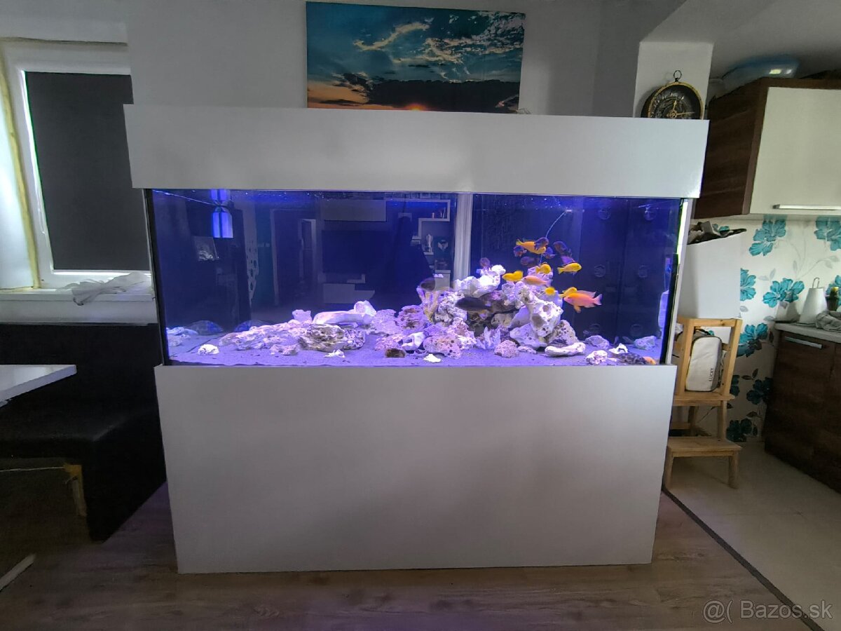 Akvárium 1000L cichlidy - 9