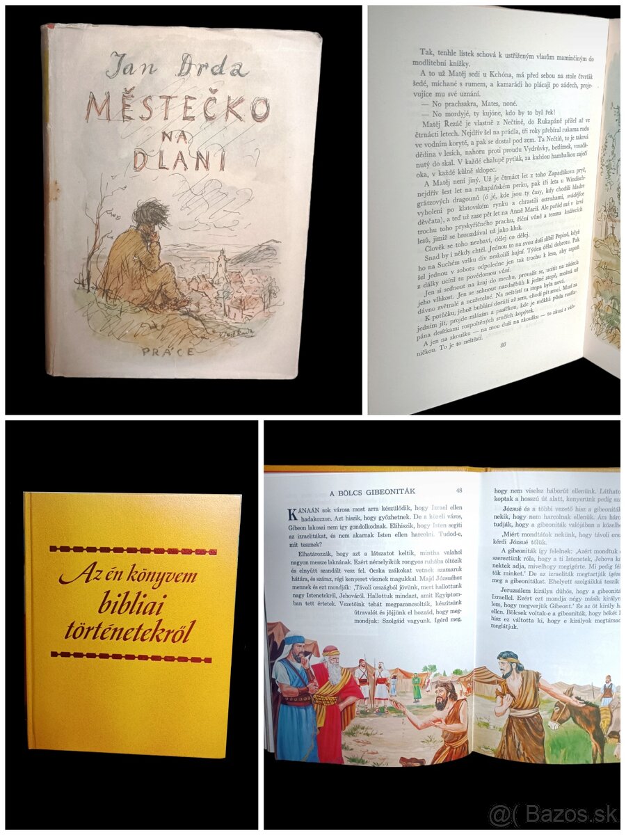 Veľké množstvo rôznych kníh - 9