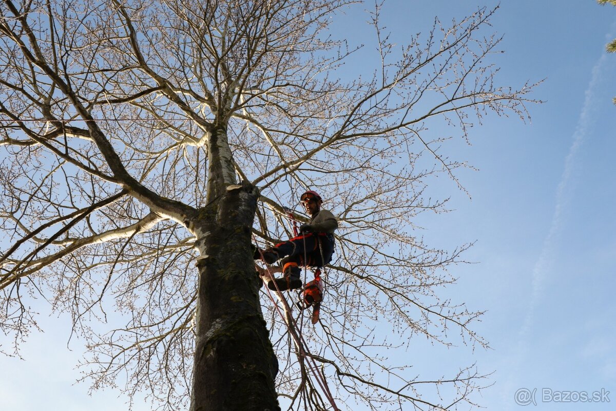 Pílenie, výrub a orezávanie stromov - 9