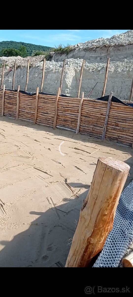 Agát, Agátové ploty - 9