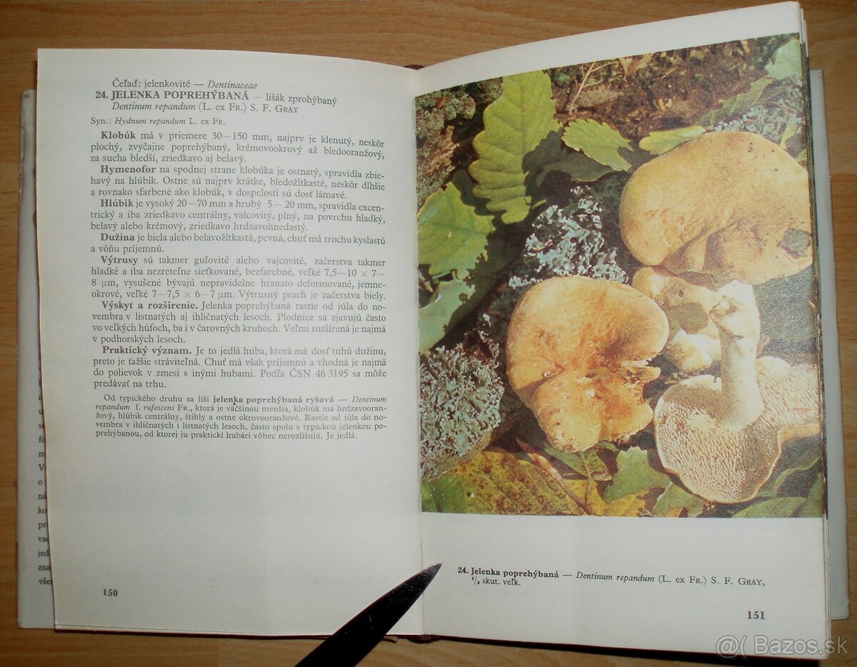Huby lesov, polí a lúk - 9