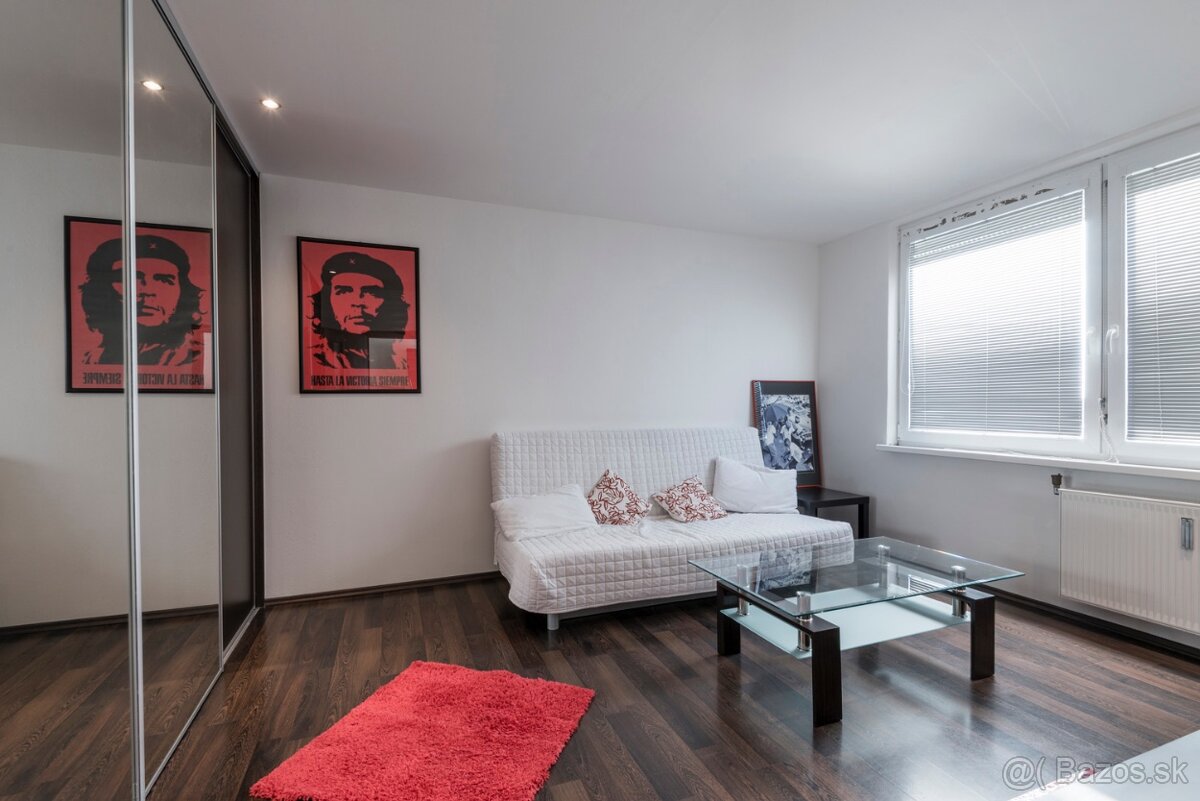 Jednoizbový byt - 9