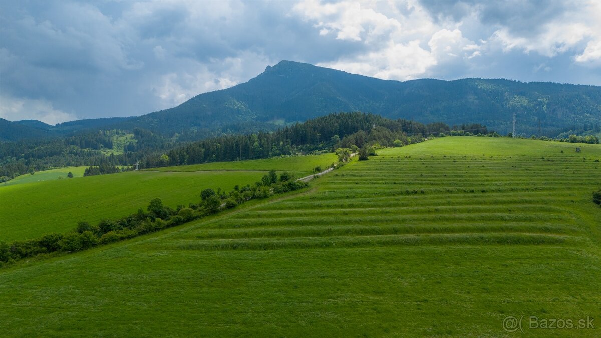 TOP CENA: Investičný pozemok vo Vyšnom Kubíne na predaj - 9