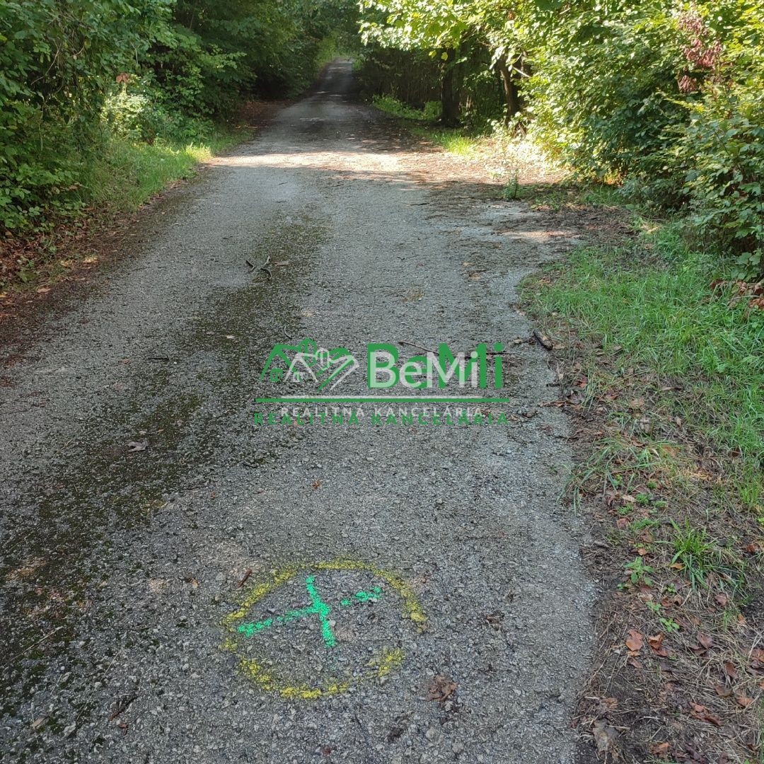 Rekreačný pozemok v Tajove na predaj ID: 015-14-STKa - 9