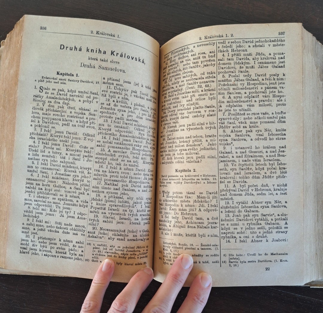 Biblie Česká 1889 - 9