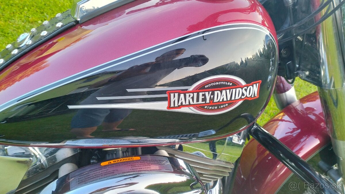 Harley Davidson Heritage Softail - 9