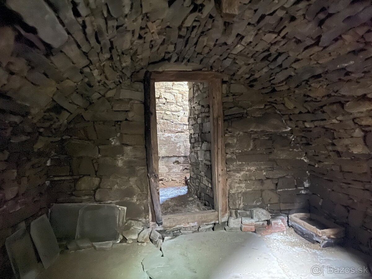 Drevenica s pozemkom - 9