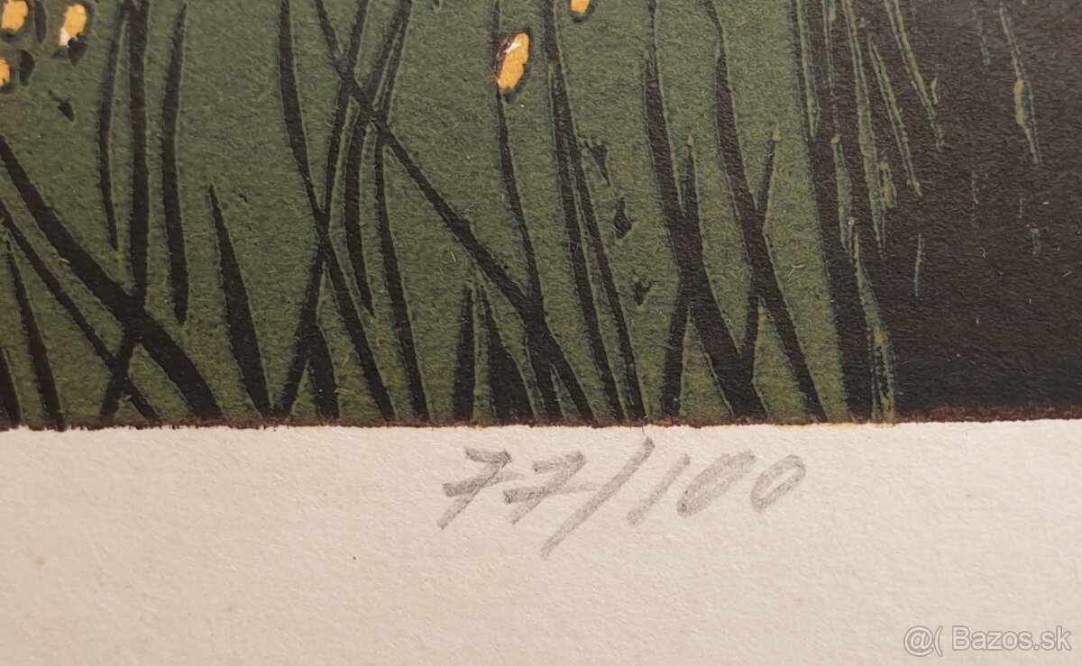 Edita Ambrušová - predám grafiky. - 9