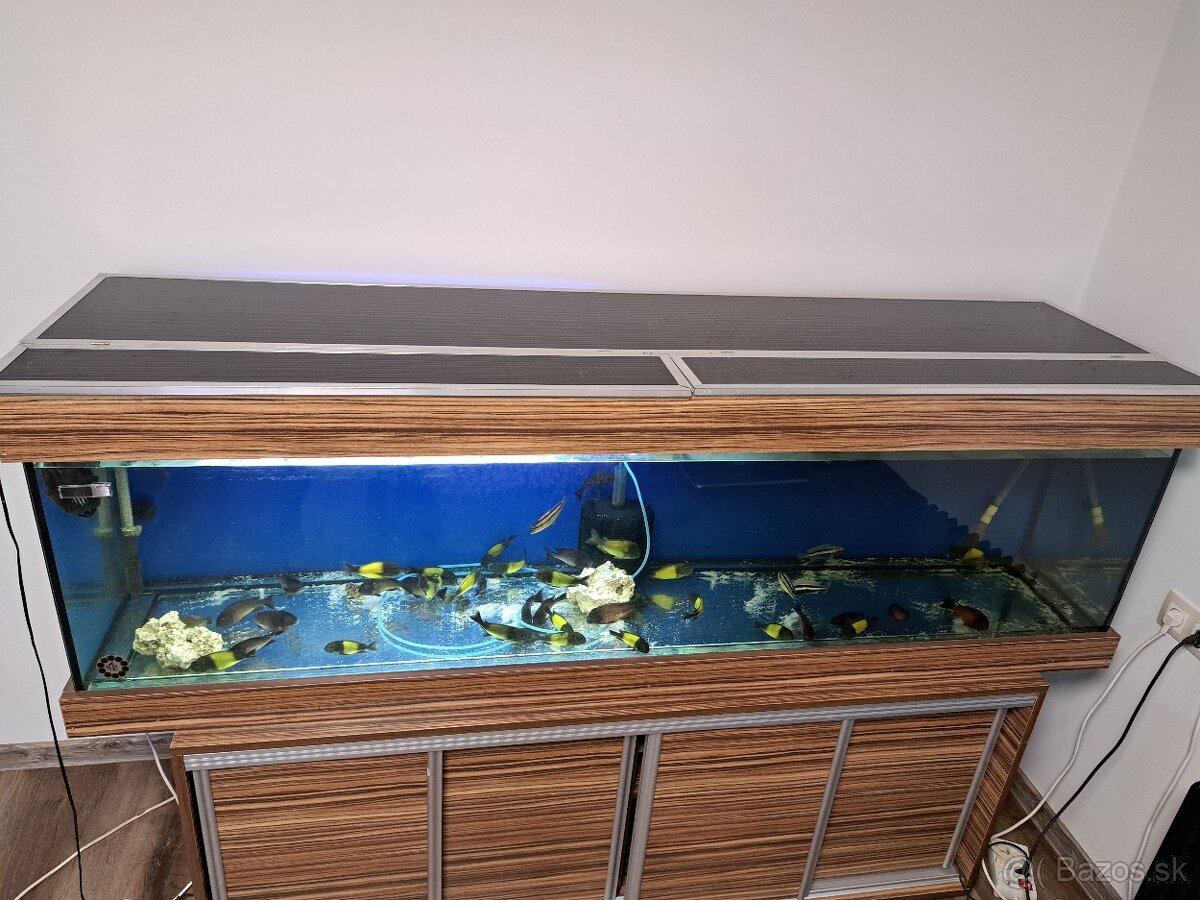 Akvarium 500l - 9