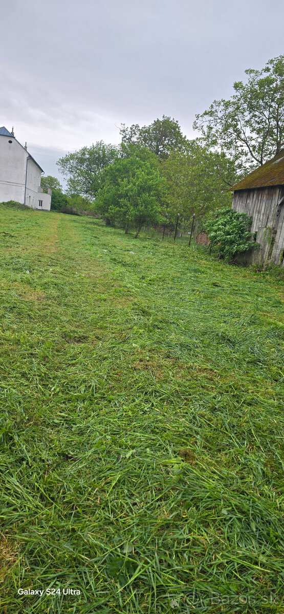 Vyrub a orez stromov - 9