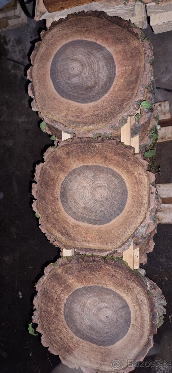 Orechové priečne rezy čerstvé - 9