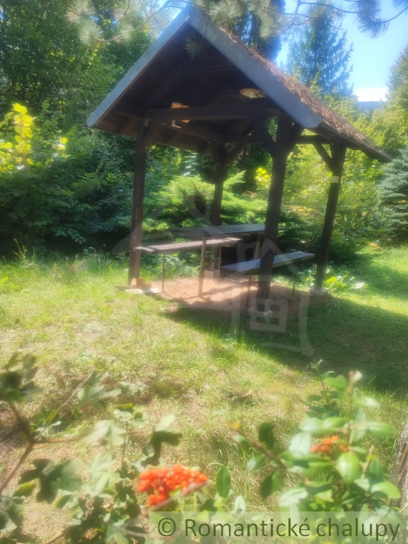 Chata uprostred lesa neďaleko viacerých lyžiarskych stredí - 9