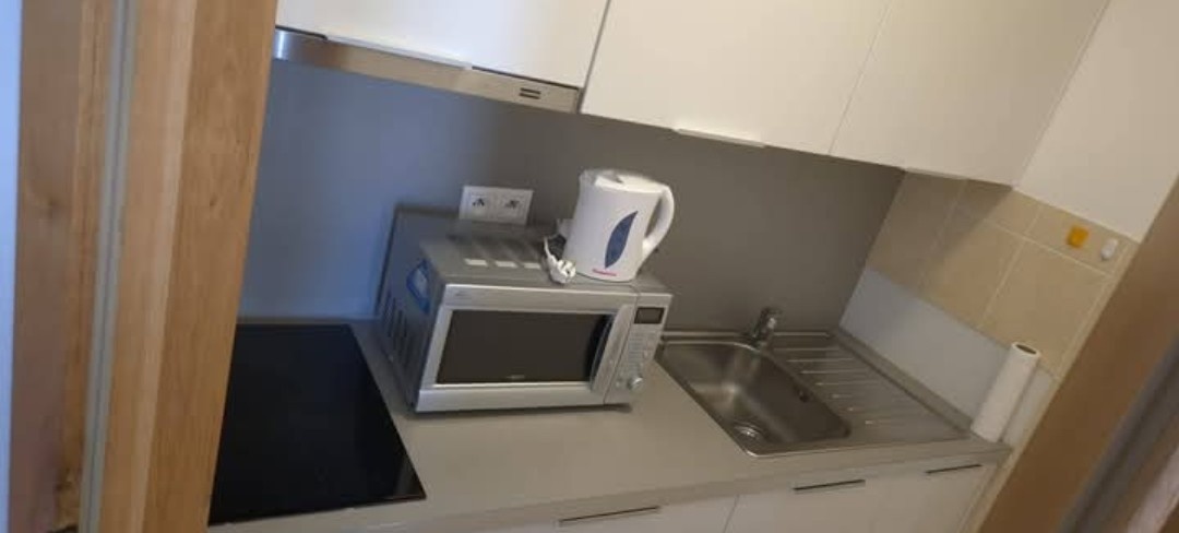 DLHODOBÝ PRENÁJOM / GARSÓNKA / SENICA / - 9