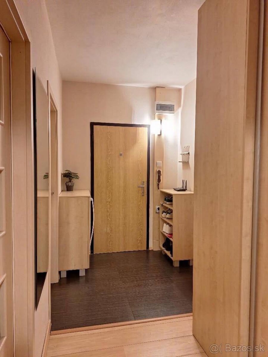 Prenajom izby v 3i byte - 9