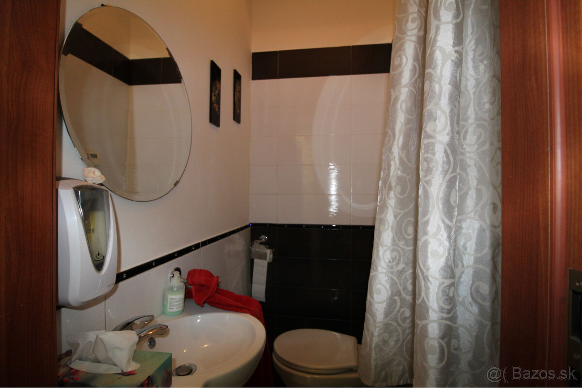 ZARIADENÝ OBCHODNÝ PRIESTOR V BA – PODUNAJSKÉ BISKUPICE - 9