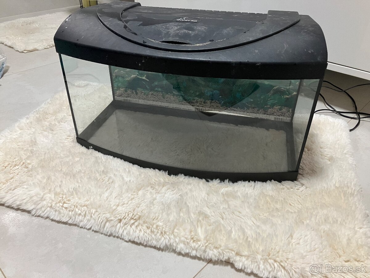 Akvárium - 9