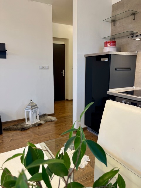 2-izb.byt, 2 parkovacie miesta, internet, energie v cene - 9