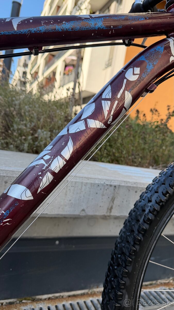 Horsky bicykel specialized - 9