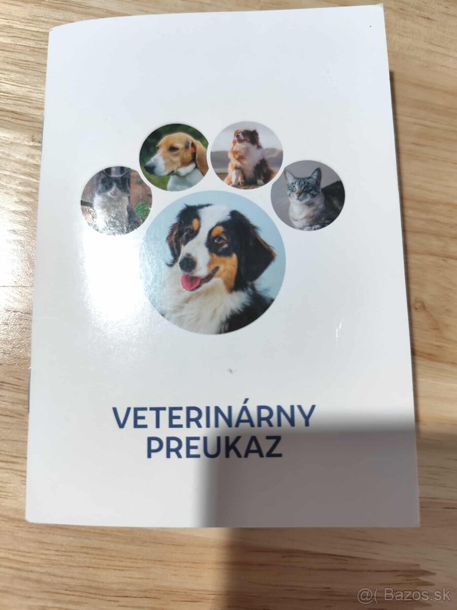 Predám Šteniatko Čistokrvneho Maltezaka - 9