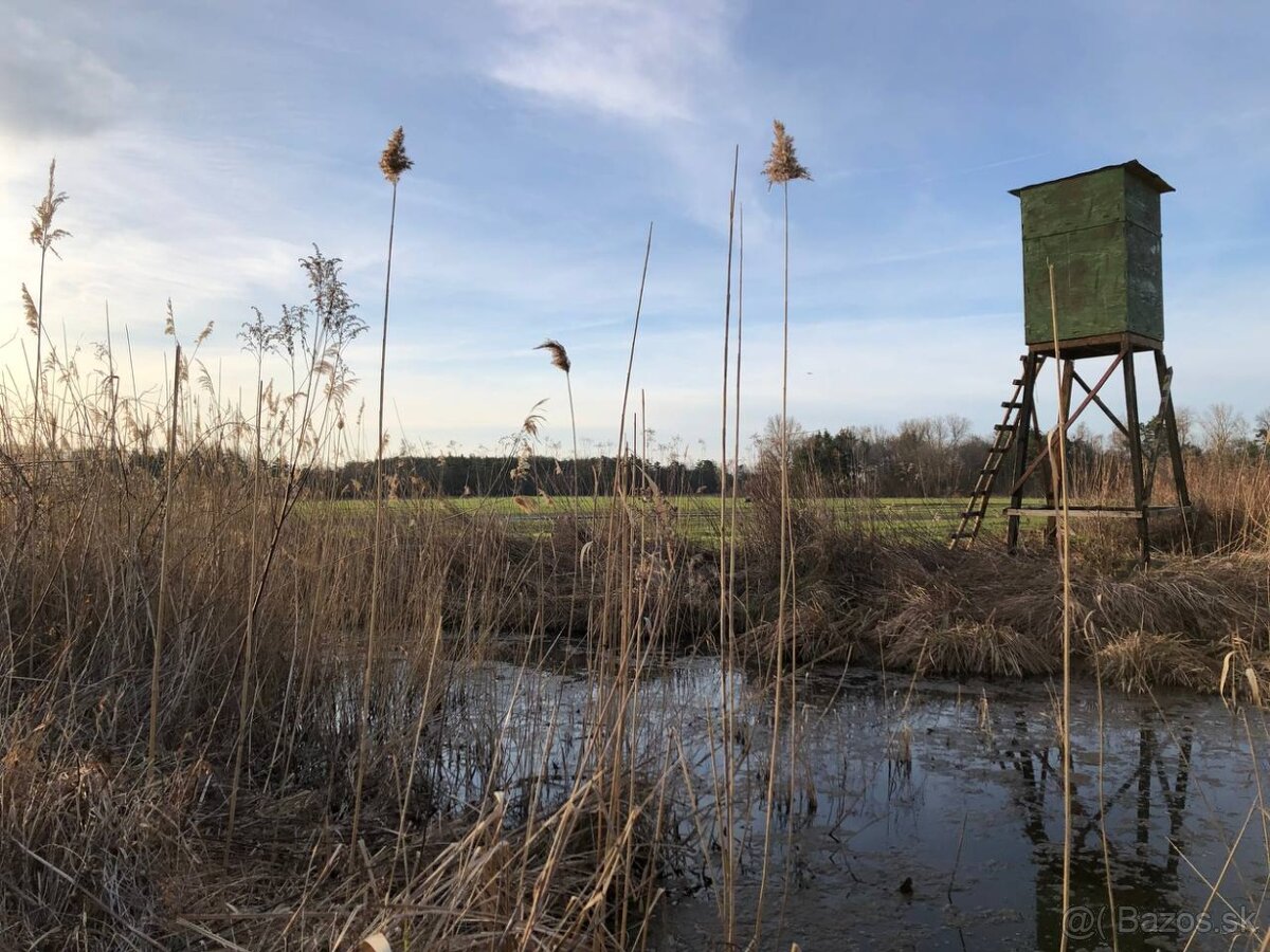 Veľký Pozemok 45 172 m² pri Malých Levároch - 9