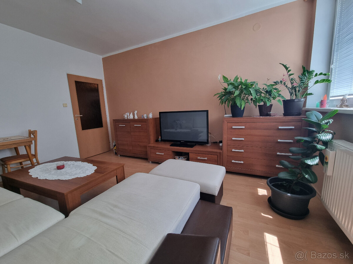 1 IZBOVÝ TEHLOVÝ BYT -BREZOVÁ p.B. - VOĽNÝ +ZN.POSUDOK - 9