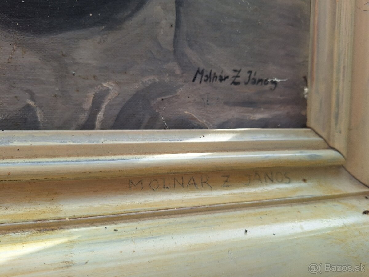 Obraz Molnár Z. Janos - 9