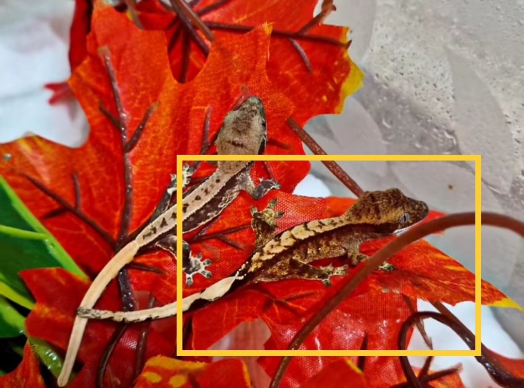 Pagekon Riasnaty - 9