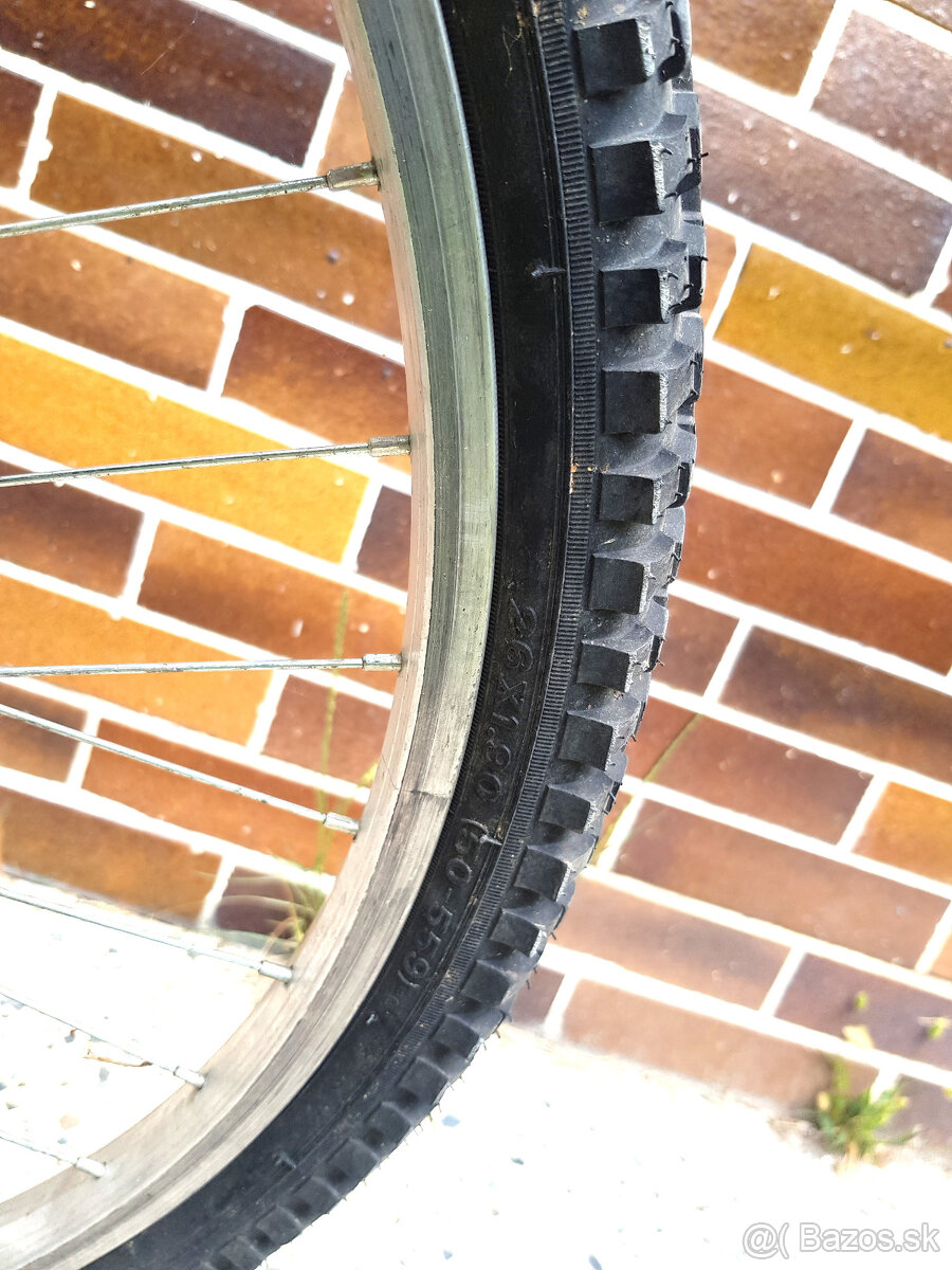 bicykel VICINI - 9