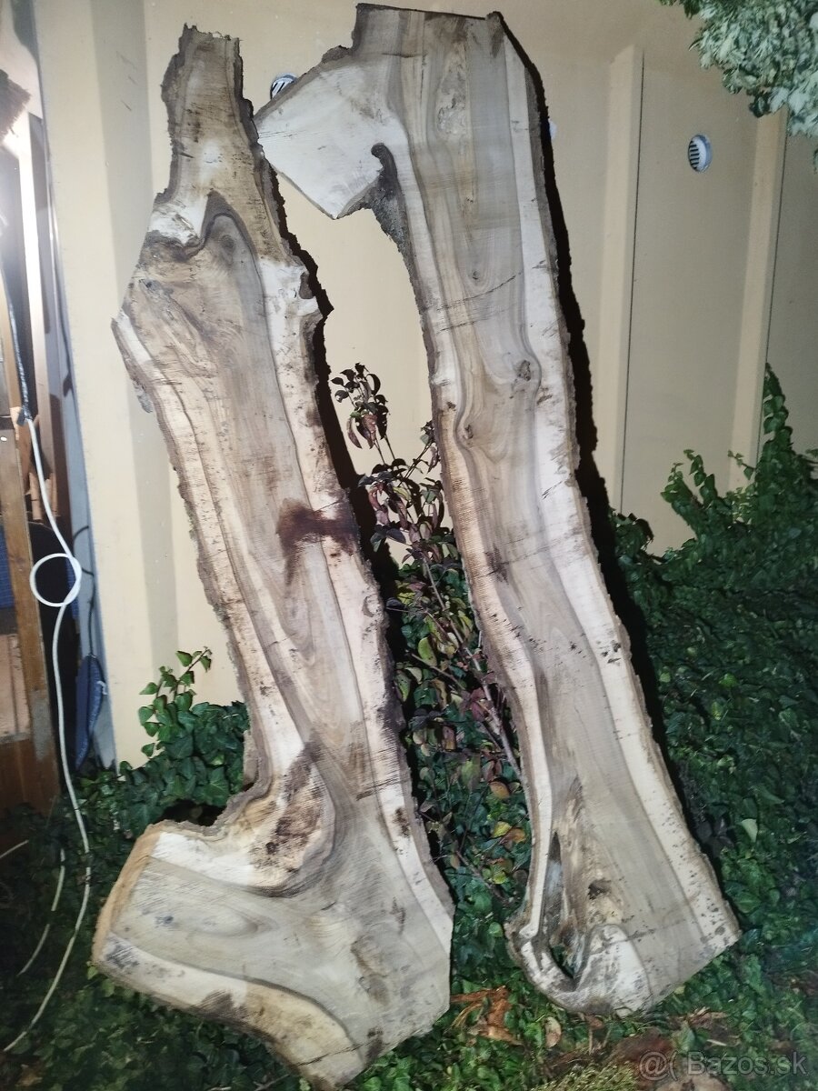 Orechové fošne - 9