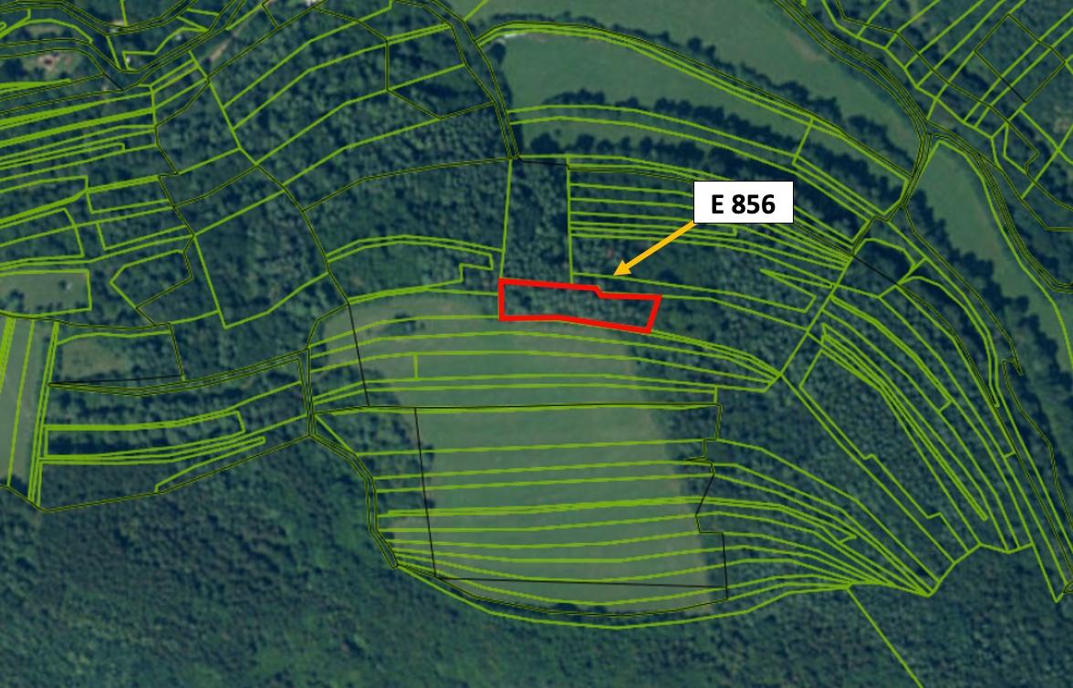 Beckov – 2.133 m2 LESNÝ POZEMOK v súkromnom vlastníctve - 9