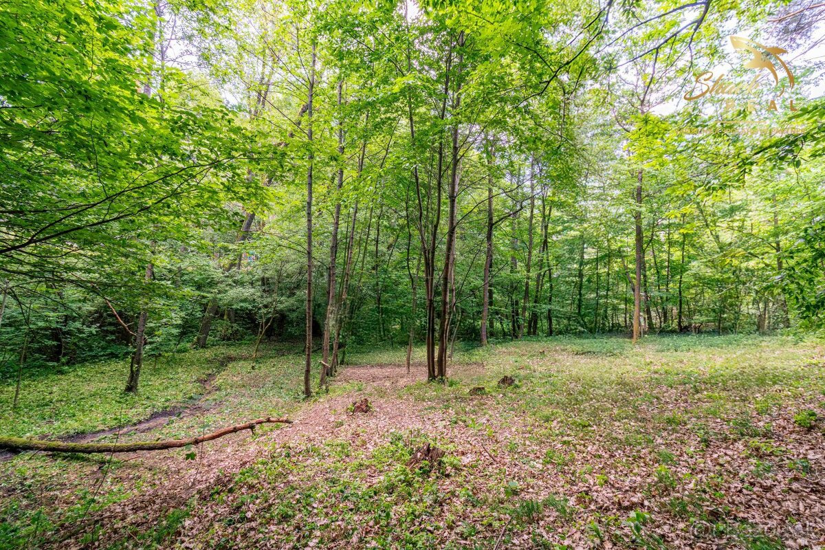 Pozemok v lone prírody s potôčikom– ideálny pre vašu vysníva - 9