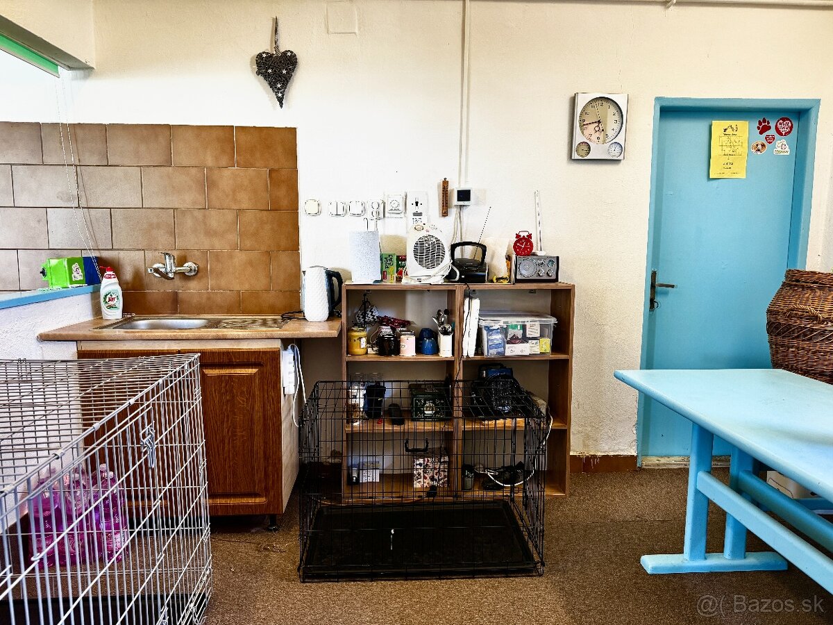 NA PREDAJ: Rodinný dom – Tužina, okres Prievidza - 9