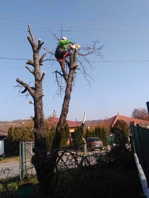 Záhradnícke služby - 9