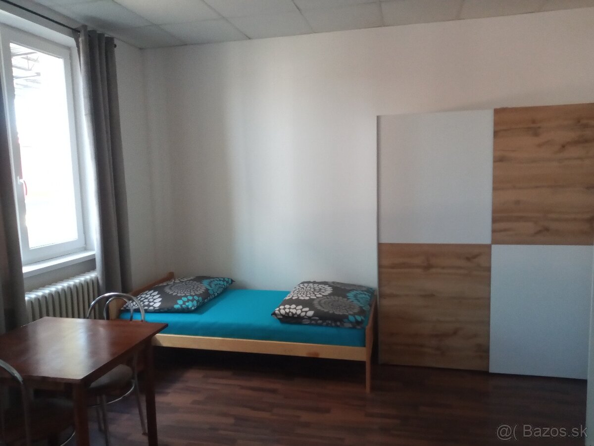 Dlhodobé a krátkodobé komfortné ubytovanie Bydos Nováky - 9